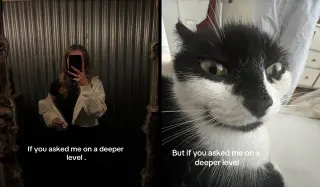 If You Asked Me On A Deeper Level (TikTok Trend) meme card, common rarity