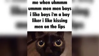 Carte meme I’m a Boy Liker, I Like Kissing Men on the Lips, rareté commune