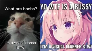 I'm A Visual Learner BTW meme card, common rarity
