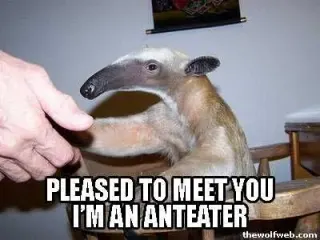 I'm an Anteater!!! meme card, epic rarity