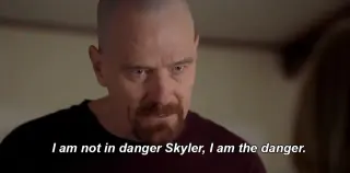 I'm Not In Danger. I Am the Danger. meme card, common rarity