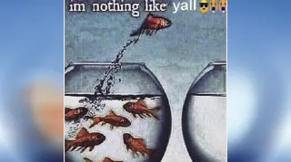 I'm Nothing Like Y'all meme card, rare rarity