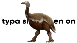 I'm The Biggest Bird meme card, rare rarity