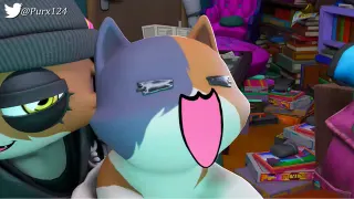 I'mma Put My Cat On the Mic meme card, common rarity