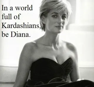 In a World of Kardashians meme card, common rarity