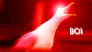 Carte meme Inhaling Seagull, rareté rare
