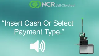 Insert Cash or Select Payment Type meme card, common rarity
