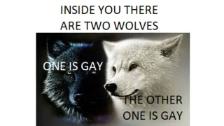 Carte meme Inside You There Are Two Wolves, rareté épique