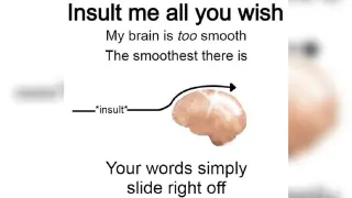 Insult Me All You Wish My Brain Is Too Smooth meme card, common rarity