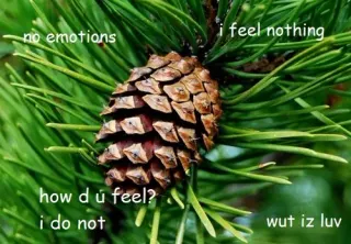 Interior Monologue Captioning meme card, epic rarity
