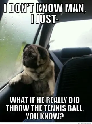 Carte meme Introspective Pug, rareté rare