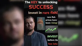 Invest In Rare Fish / Multiple Uncles meme card, rare rarity