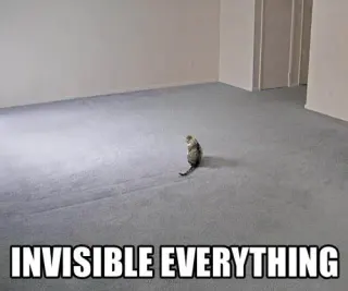 Invisible Bike meme card, rare rarity