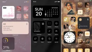 Carte meme iOS 14 Homescreen Customizations, rareté commune