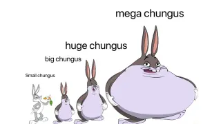 Ironic Big Chungus Memes meme card, rare rarity