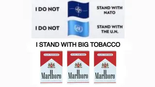 Ironic Big Tobacco Memes meme card, common rarity