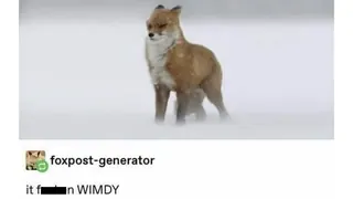 It Fucken Wimdy meme card, common rarity