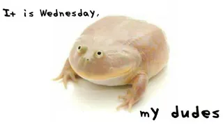 Carte meme It Is Wednesday My Dudes, rareté légendaire