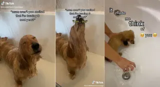 "It Made Me Think Of You" TikTok Trend meme card, common rarity