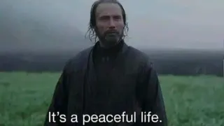 It's a Peaceful Life meme card, common rarity