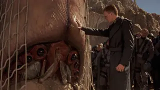 Carte meme It’s Afraid, rareté commune