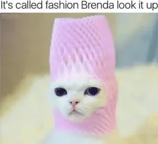 "It's Called Fashion Look It Up" meme card, rare rarity