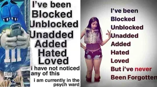 Carte meme I’ve Been Blocked Unblocked Unadded Added Hated Loved, rareté commune