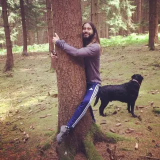 Jared Leto Hugging Things meme card, common rarity