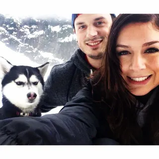 Jealous Husky meme card, common rarity