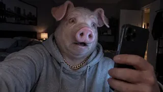 John Pork meme card, epic rarity