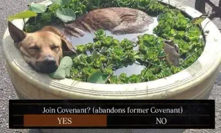 Join Covenant? meme card, common rarity