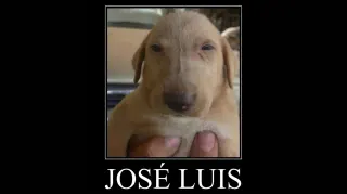 Carte meme José Luis, rareté commune