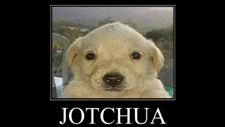 Jotchua meme card, rare rarity