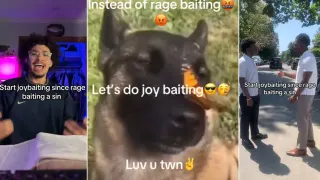 Carte meme Joybaiting / Joy Bait, rareté commune