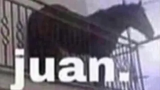 Juan / Horse On Balcony meme card, epic rarity
