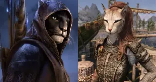 Carte meme Khajiit / Khajiit Has Wares, rareté épique