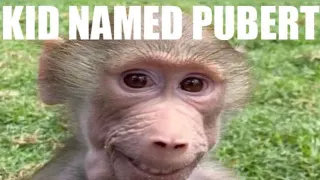 Carte meme Kid Named Pubert, rareté commune