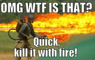 Kill It With Fire meme card, epic rarity