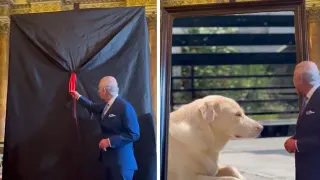 King Charles Portrait Reveal meme card, common rarity