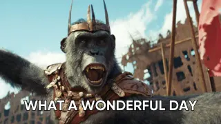 King Proximus Caesar's "What A Wonderful Day" meme card, common rarity