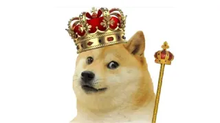 Carte meme King, rareté rare