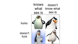 "Knows What Sex Is" Grid meme card, common rarity