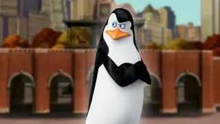 Kowalski meme card, epic rarity
