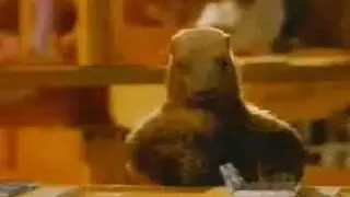 Carte meme La marmotte Milka, rareté épique