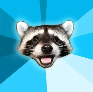 Lame Pun Coon — Full Art meme card, rare rarity