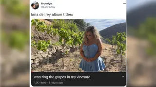 Lana Del Rey Album Titles meme card, common rarity