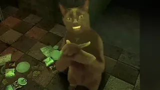 Le chat qui applaudit meme card, common rarity