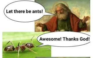 Let There Be Ants! meme card, common rarity