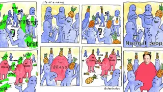 Life Of a Meme / Brand Puts Pineapple on Head meme card, common rarity