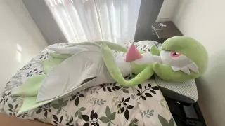 Life-Sized Gardevoir Plush meme card, common rarity